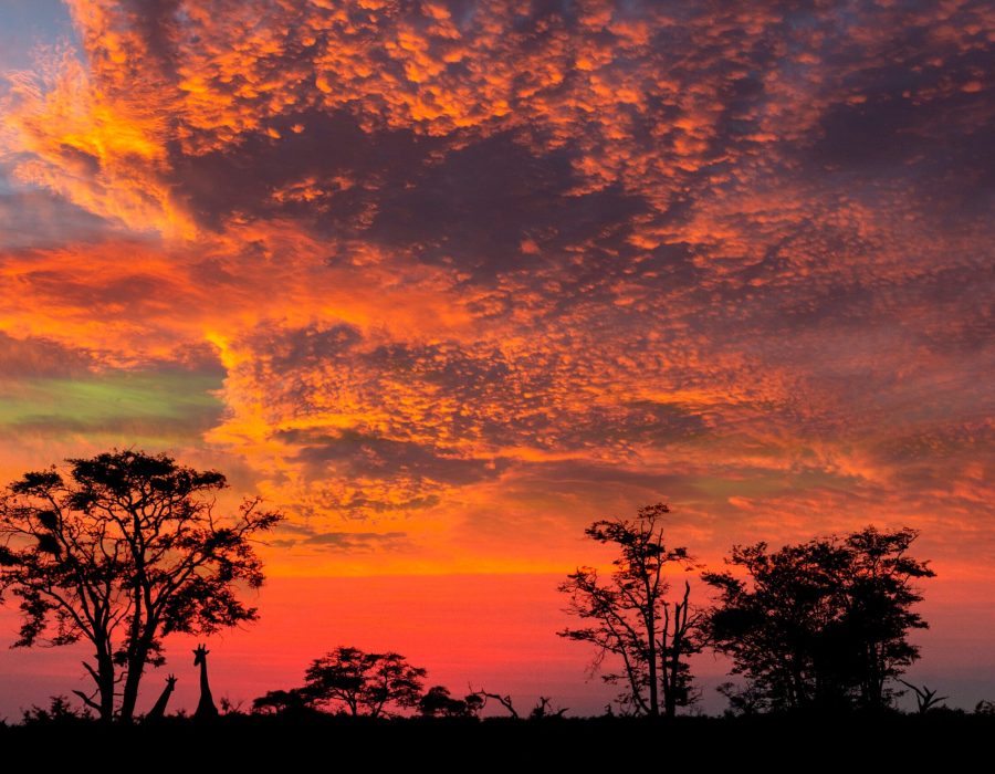 Dramatic sunset over the Savuti region of northern Botswana, Africa.
